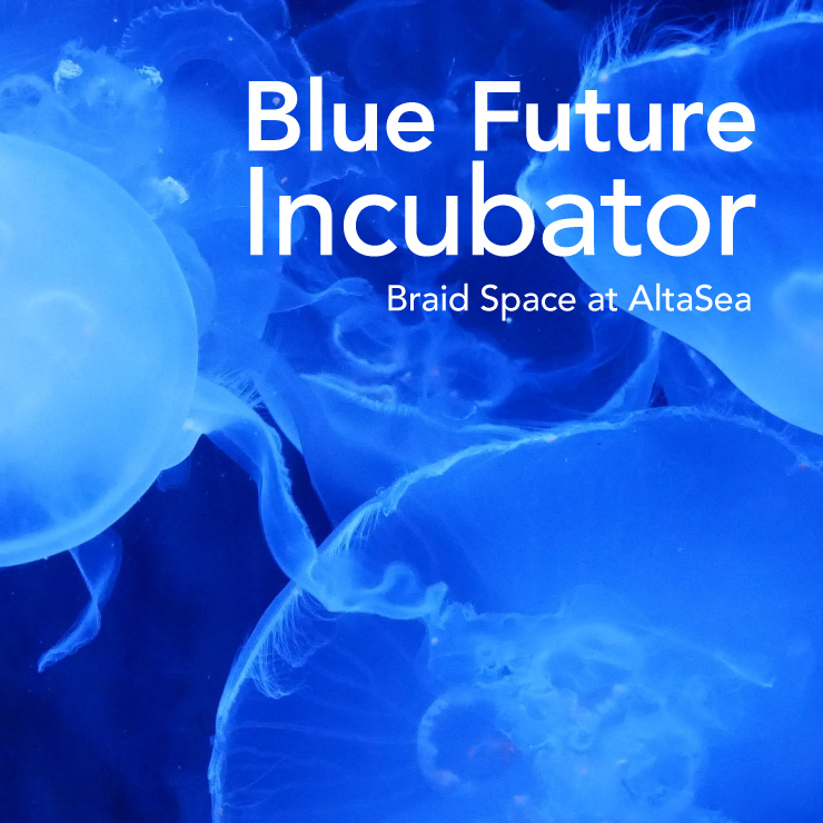 Blue FutureIncubator