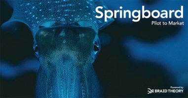 Springboard | Pilot to Market