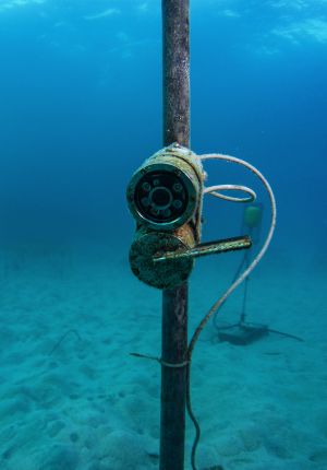 An underwater camera housing and sensor mounted on a vertical pole on a sandy seabed, with cabling coiled around it and clear blue water above.