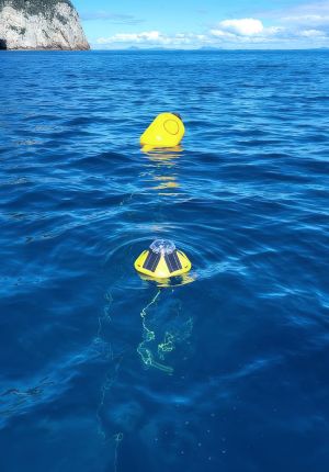 Two yellow ocean sensor buoys floating on deep blue open water, one with solar panels and a clear dome, tethered to a submerged line, with a rocky headland in the distance.