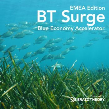 BT Surge Blue Economy Accelerator | EMEA Edition