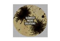 Seaweed Micro Solutions